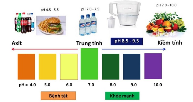 chúng ta thường nạp quá nhiều thực phẩm có tính axit, hạn chế thực phẩm kiềm. Do đó, độ pH trong cơ thể chúng ta thường giảm xuống.
