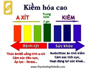 Axit Kiềm: Tìm Hiểu Về Lợi Ích và Ứng Dụng Trong Cuộc Sống